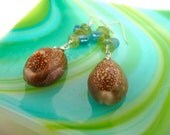 Shell Earrings made in Hawaii, Hawaiian seashell jewelry by Mermaid Tears