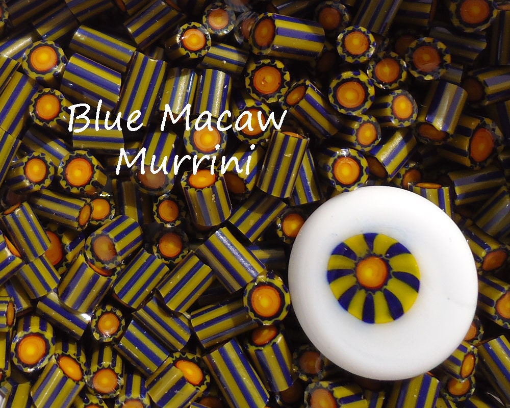handmade murrini Blue Macaw 15 pcs