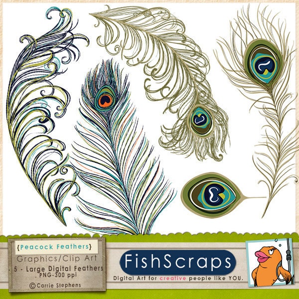 Peacock Feather Clip Art - Feather ClipArt - Digital Graphics - Personal & Commercial - Wedding Invitations DIY - Instant Download Il_170x135
