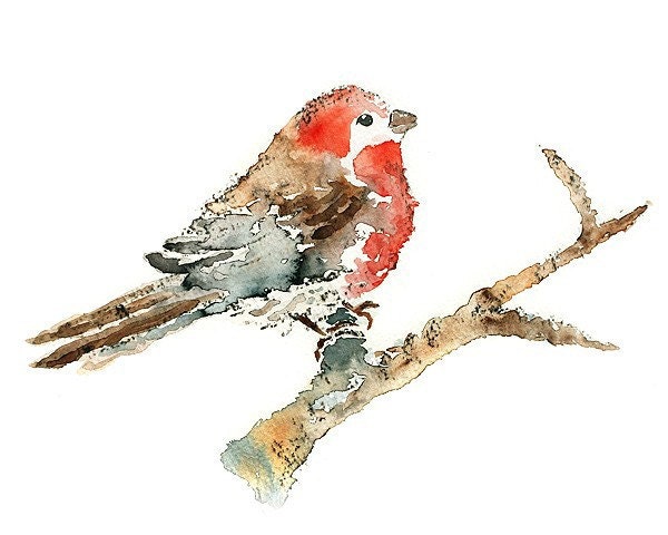 Bird Watercolor painting, bird art print, whimsical woodland wall art,  finch, red wall decor, animal painting - Blushing Puff