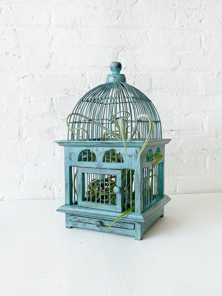 Air Plant in Blue Bird Cage - Distressed Teak LIVE Garden