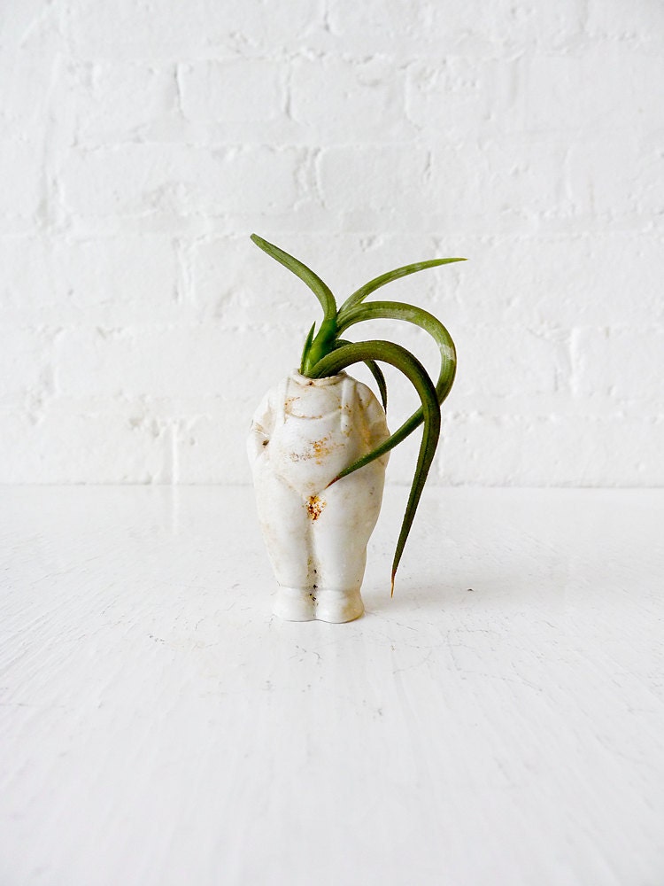 White Rabbit - No time to say "Hello, Goodbye" - Antique German Bisque Headless Doll Air Plant Garden