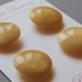 Vintage Medium-Sized Beige/Cream Buttons