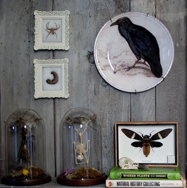 Raven - Handmade Decoupage Under Glass Plate