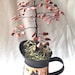 Autumn Goldstone Tree