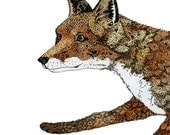 Fox Print Running Fox Pen and Ink  illustration 8x11