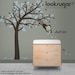 Tree Wall Decal - Monkey Tree Wall Decal w/ personalized decal - 0054