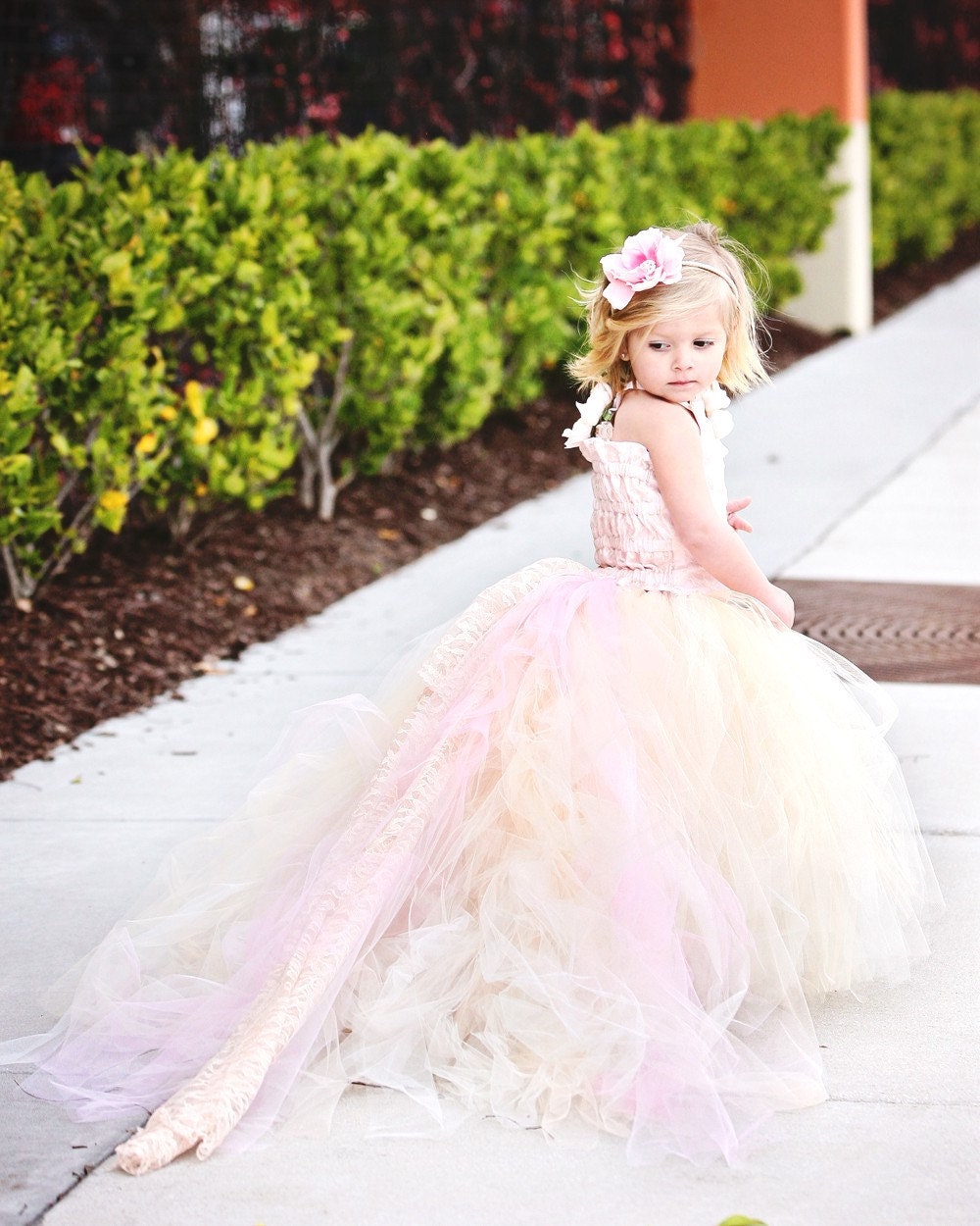 Lace Flower Girl Dress with Train-Blush Pink--Formal Wear Tutu Detachable Train--Pink Champagne--Summer Weddings