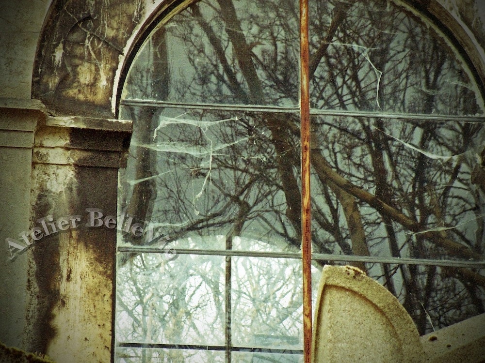 Les Toiles d'Araignée - The Cobwebs of Père Lachaise - 5x7 Fine Art Print OR Digital Download - Paris, France - Photography