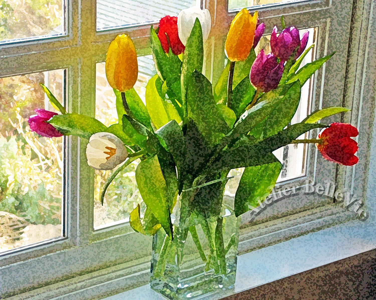 Mousehole - Cornwall, England Photography - Cornish tulips - 8x10 Fine Art Print