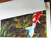 Striking  Photo Print Cards - Koi - Set of 5 Embellished  Cardstock with ABV Koi Print