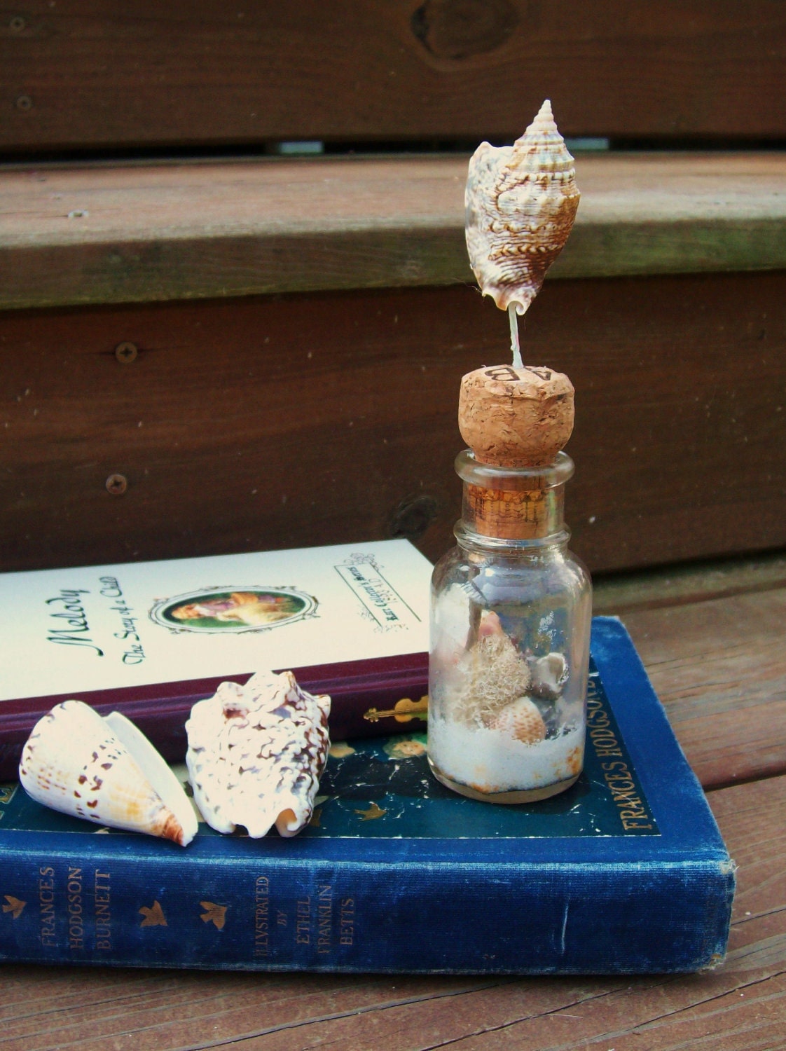 Beach Terrarium in a Miniature Antique Glass Bottle - Rustic Specimen Jar - Shells, Moss, Sand
