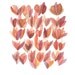 Watercolor painting Open Up original painting rose red petals home decor valentine's gift