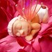 Flower Fairy Baby Girl, Peony Fairy, OOAK, Hand Sculpted, magenta fairy, girl fairy, baby girl