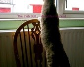 Irish Cat in the Window . Blank Photo Card for CAT LOVERS and St. Patrick's Day