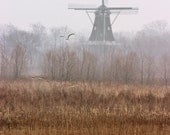 Gulls amidst the DeZwaan Dutch Windmill in Holland Michigan a Fine Art Photograph