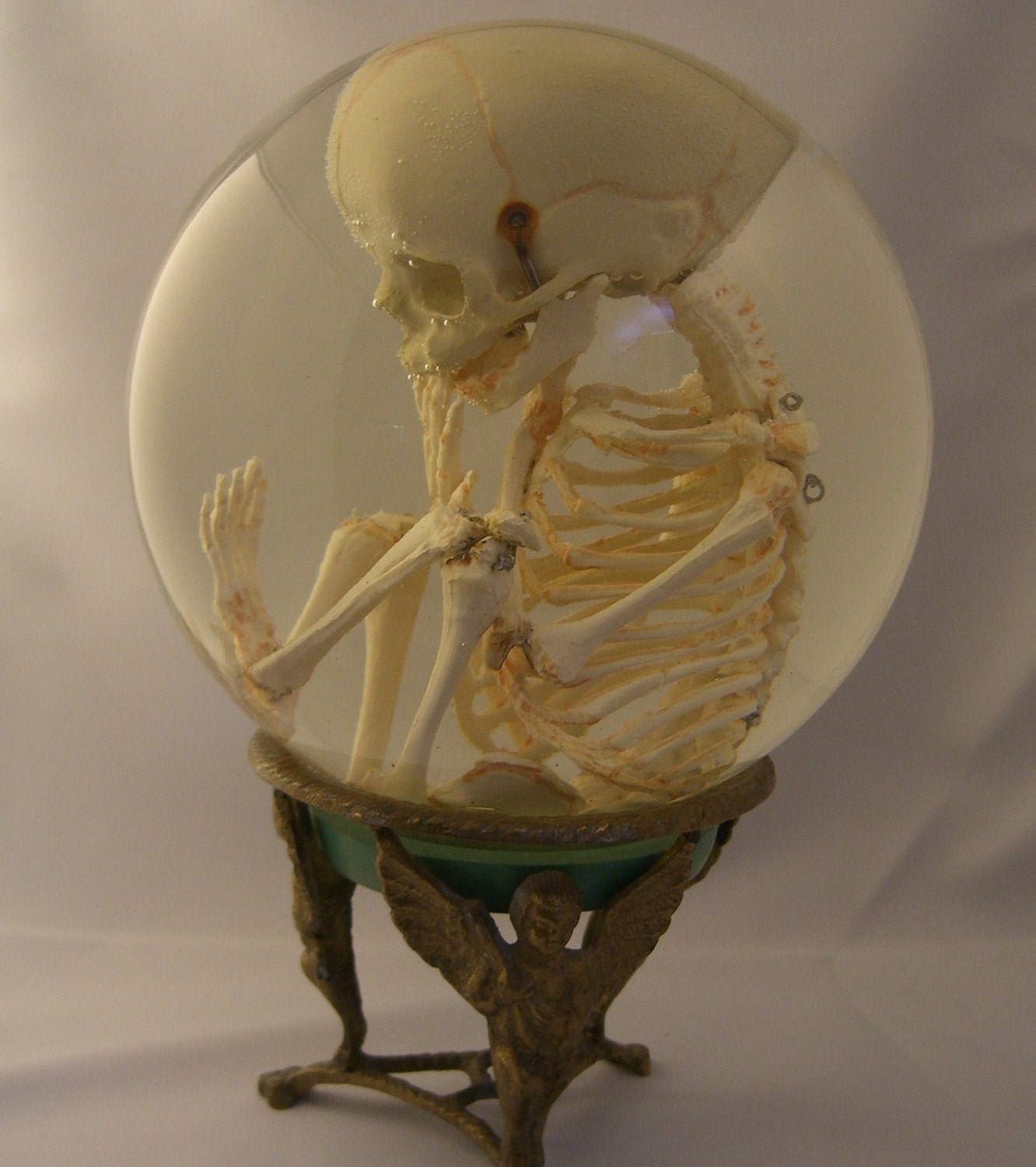 Human Fetal Skeleton in Glass Womb on Vintage Metal Stand