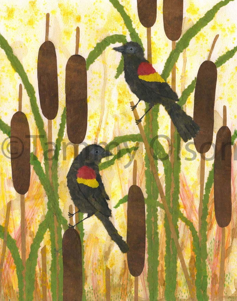Mixed media birds, red winged black birds. collage, cattails, 8 x 10 Limited edition print 8/250  "Among the Cattails"