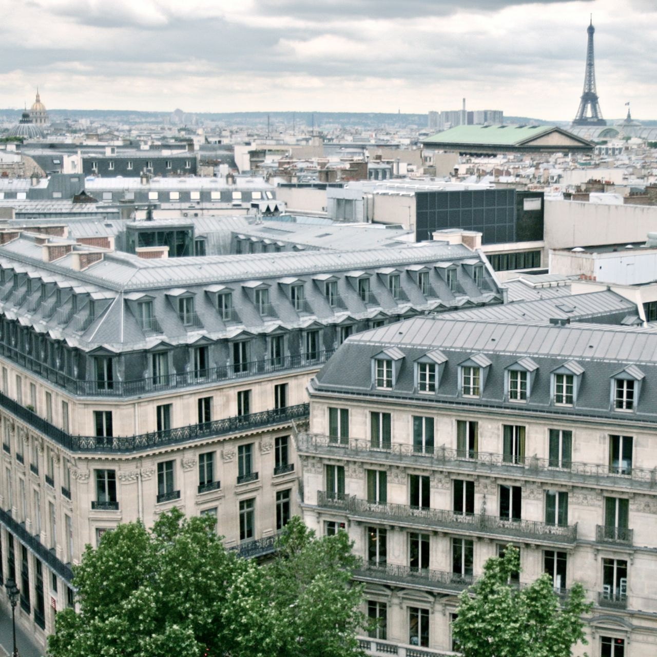 Paris France Photo - Rooftop Paris - French Decor - Architecture Print - Paris Fine Art Photography - Neutral Grey Gray - Urban Landscape