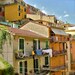 Italy Cinque Terre Photo - I Dream of Cinque Terre - 12x12 Photograph - Colorful Italian Photography - Home Decor - Orange Yellow