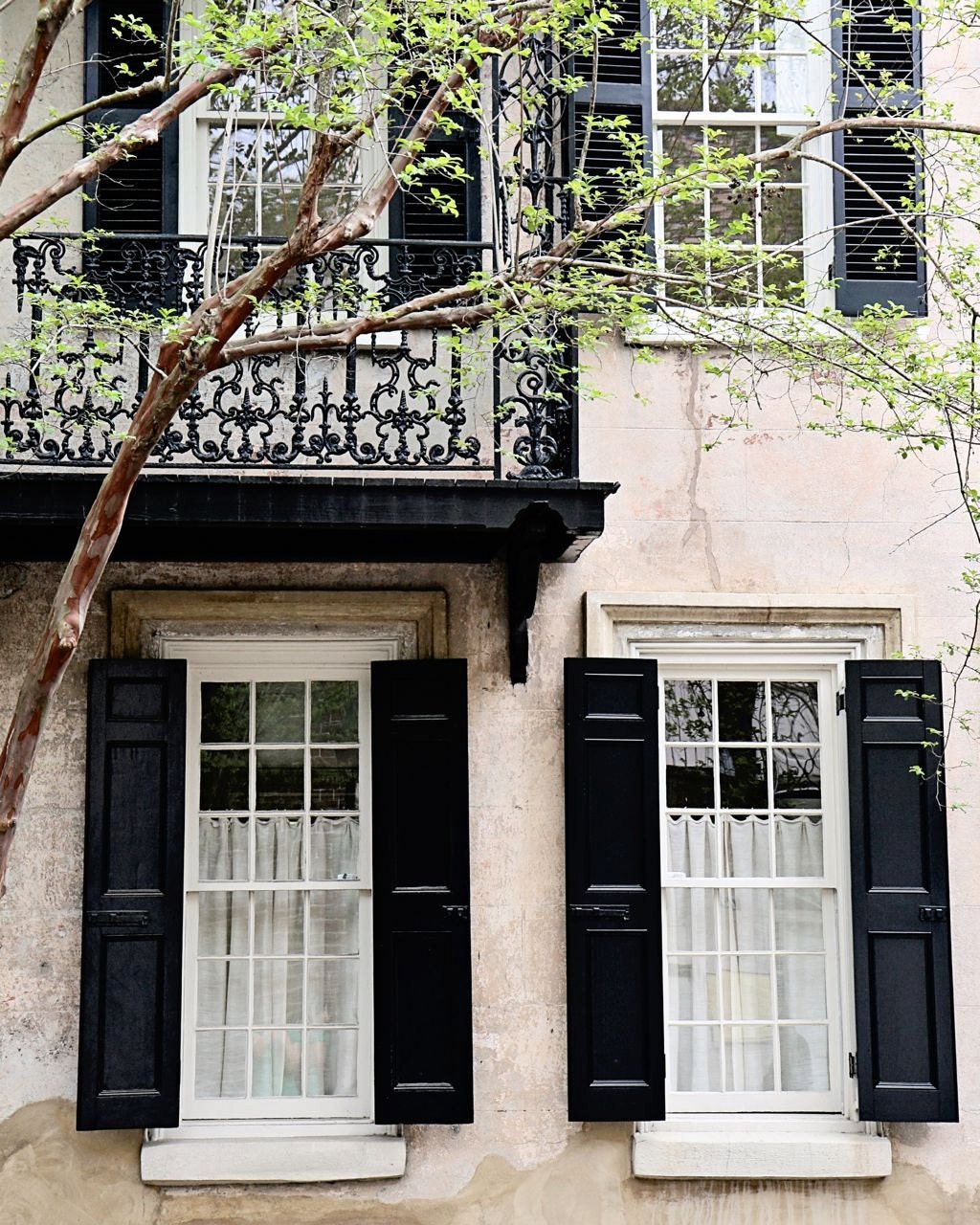 Charleston Photograph - Southern Home Architecture Print - Green Black Beige - Window Photo - Balcony - Home Decor - Wall Art