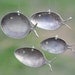 1800's Silver spoon windchimes - Customers favorite item