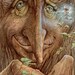ACEO Limited Edition Giclee- Old Wisebark