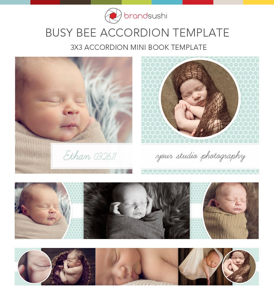 Busy Bee -- 3x3 Accordion Mini Book Template for Photographers INSTANT DOWNLOAD