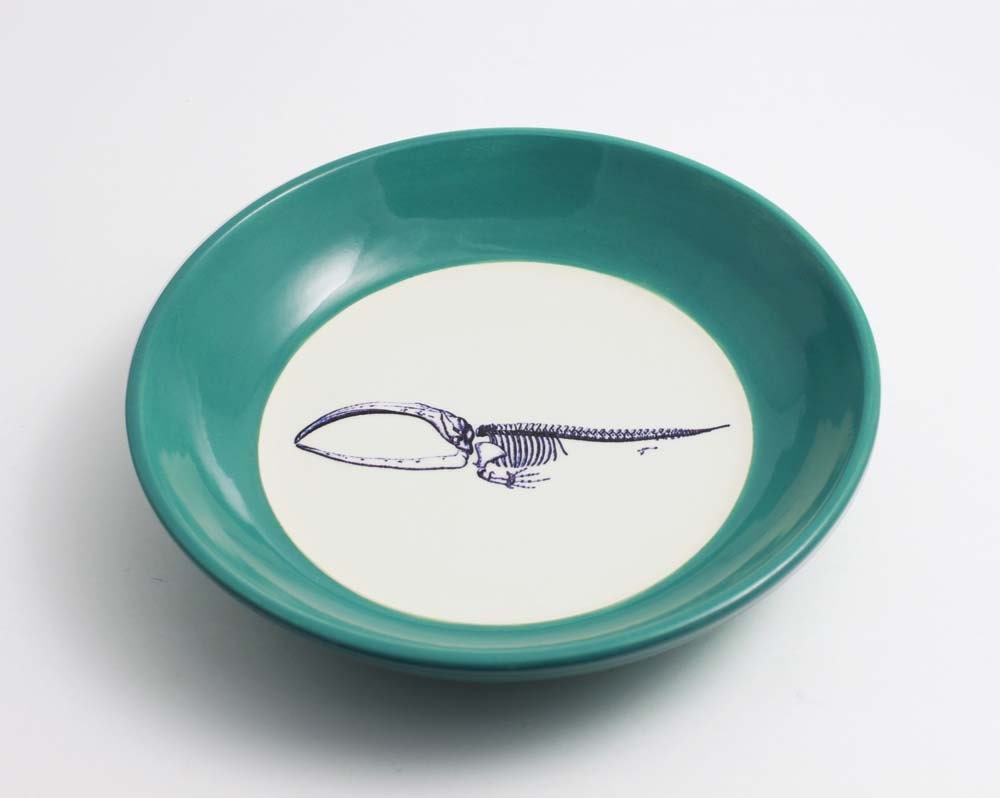 Whale Skeleton Bowl - Teal and White Anatomy Bowl