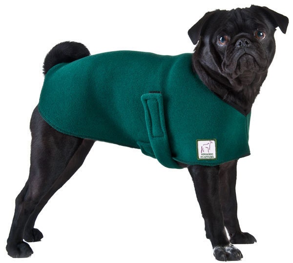 PUG Spring or Fall Dog Coat