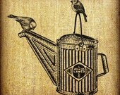 Watering Can With Birds Vintage Artwork Digital Image Transfer Download 300 dpi for Pillows Totes Bags Napkins Towels