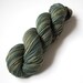 Hand Dyed Yarn Organic Merino Sport Weight Naturally Dyed in Forest Floor green
