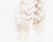 Tiny Original Watercolor Painting - Feather