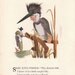 1912 King-Fisher/ Brown Thrasher- Bird Children Illustration Print