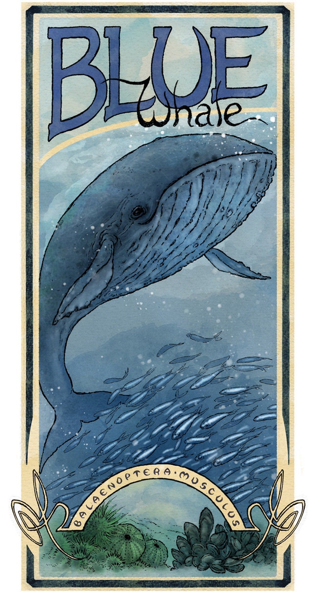 Blue Whale Poster, Wildlife Sea Art - Archival Art Print LARGE 11 x 17