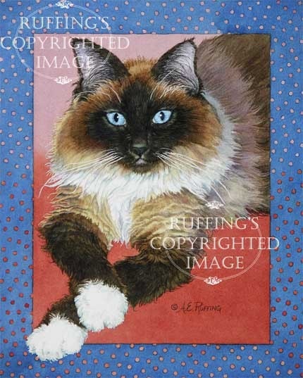 Ragdoll Cat 8.5 x 11 Giclee Fine Art Print Signed A E Ruffing