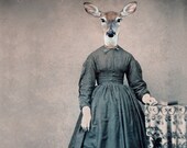Deer Art Print, Mixed Media Collage Print, 8 x 10 Altered Civil War Portrait, Violet, frighten