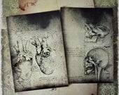 Morbid Anatomy -  Replica Postcard Set of 2