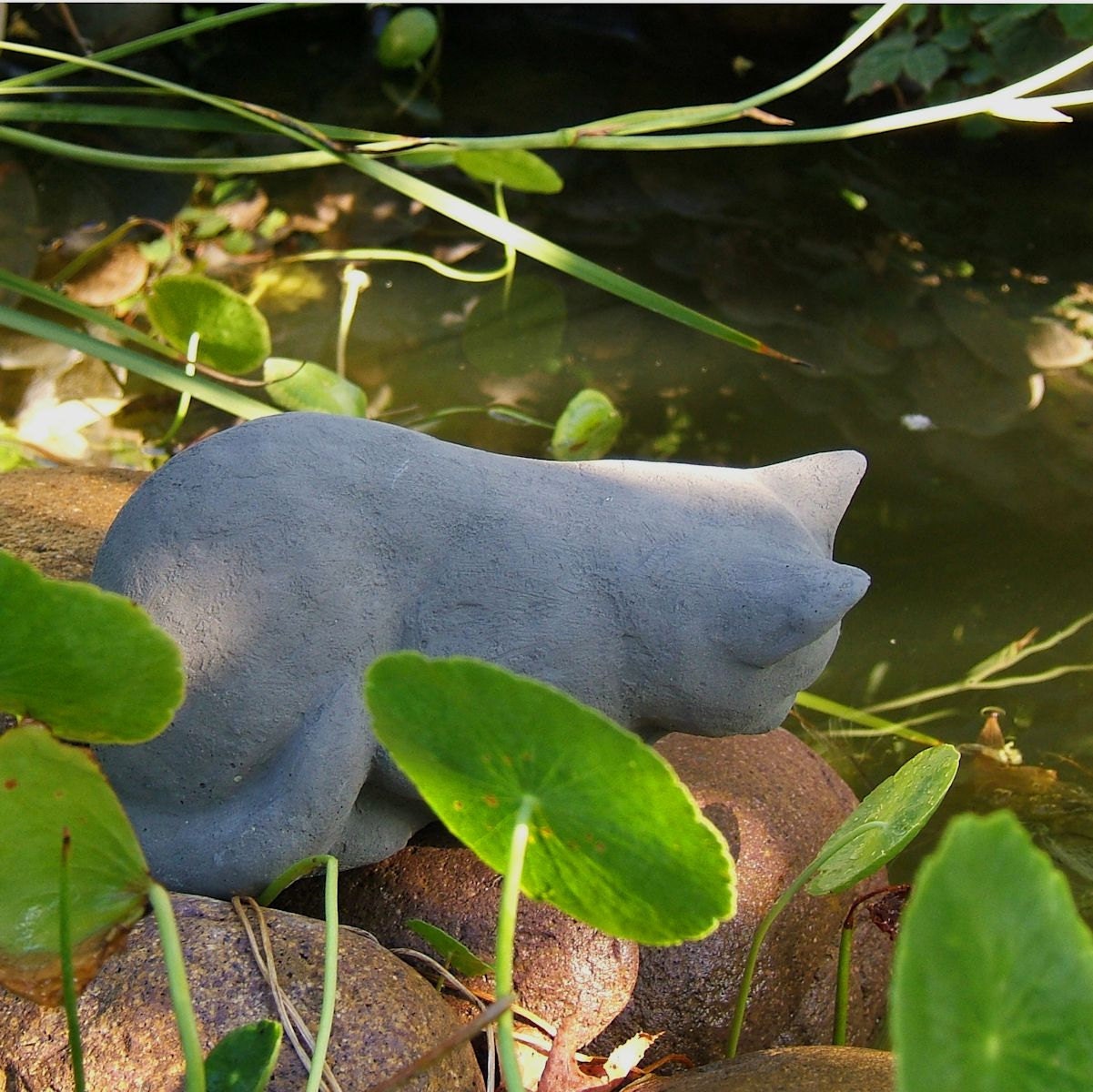 Stone PEEKING KITTEN Garden Statue - American Hand Crafted Original Sculpture (a/v)