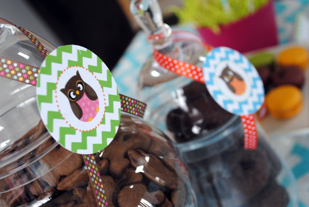 INSTANT DOWNLOAD Owl Party Printables - "Look WHOO" collection Party Circles by Itsy Belle Il_570xn