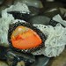 BRACELET - Orange Jasper Gemstone Ivory Lace Copper Chain Silver Black Metal Cuff Jewelry Bracelet - Free Shipping