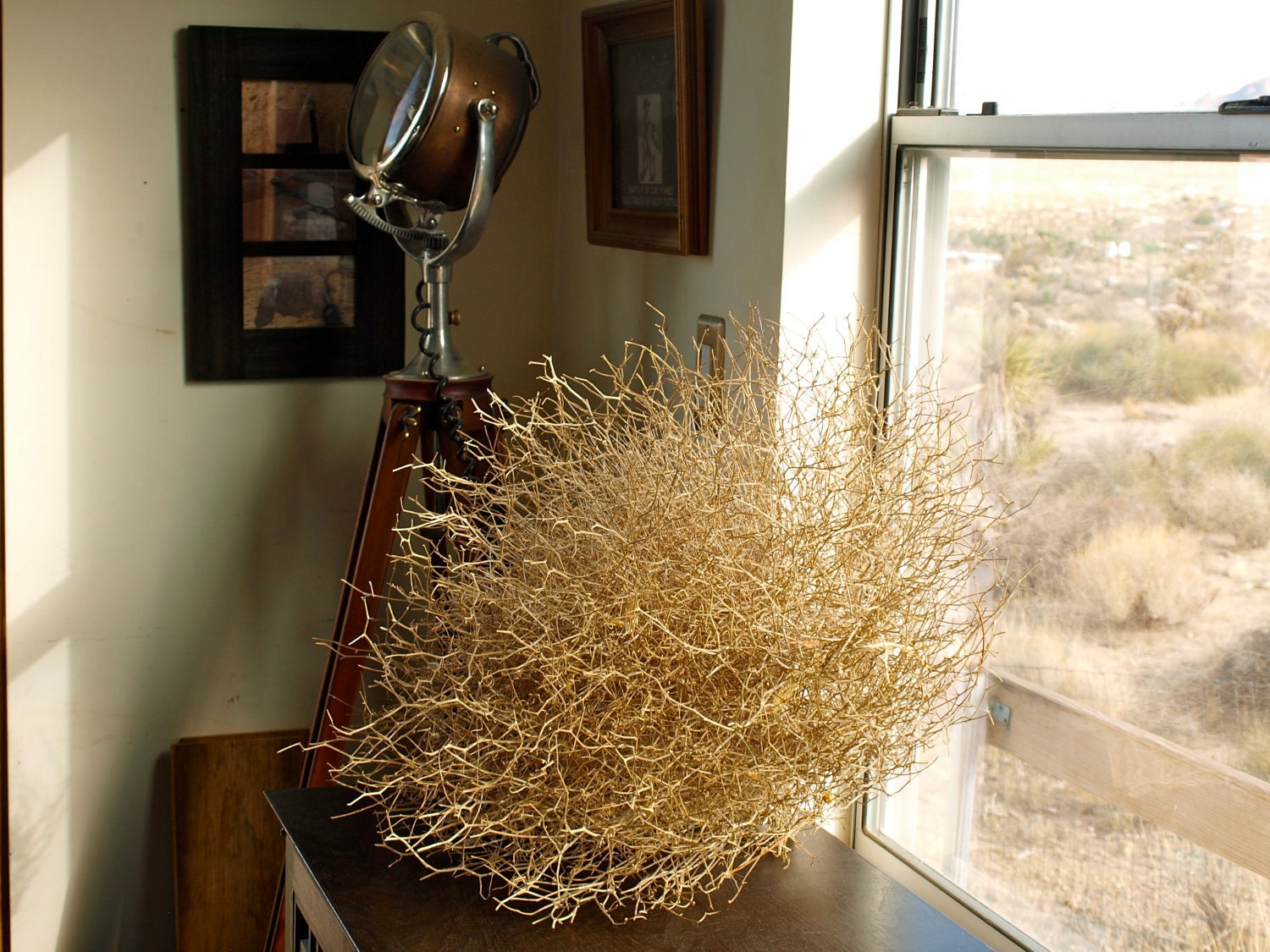 Organic All-Natural Rogue Tumbleweeds from the Mojave