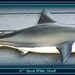 GREAT WHITE SHARK  fish wood carving wall mount 40 inches