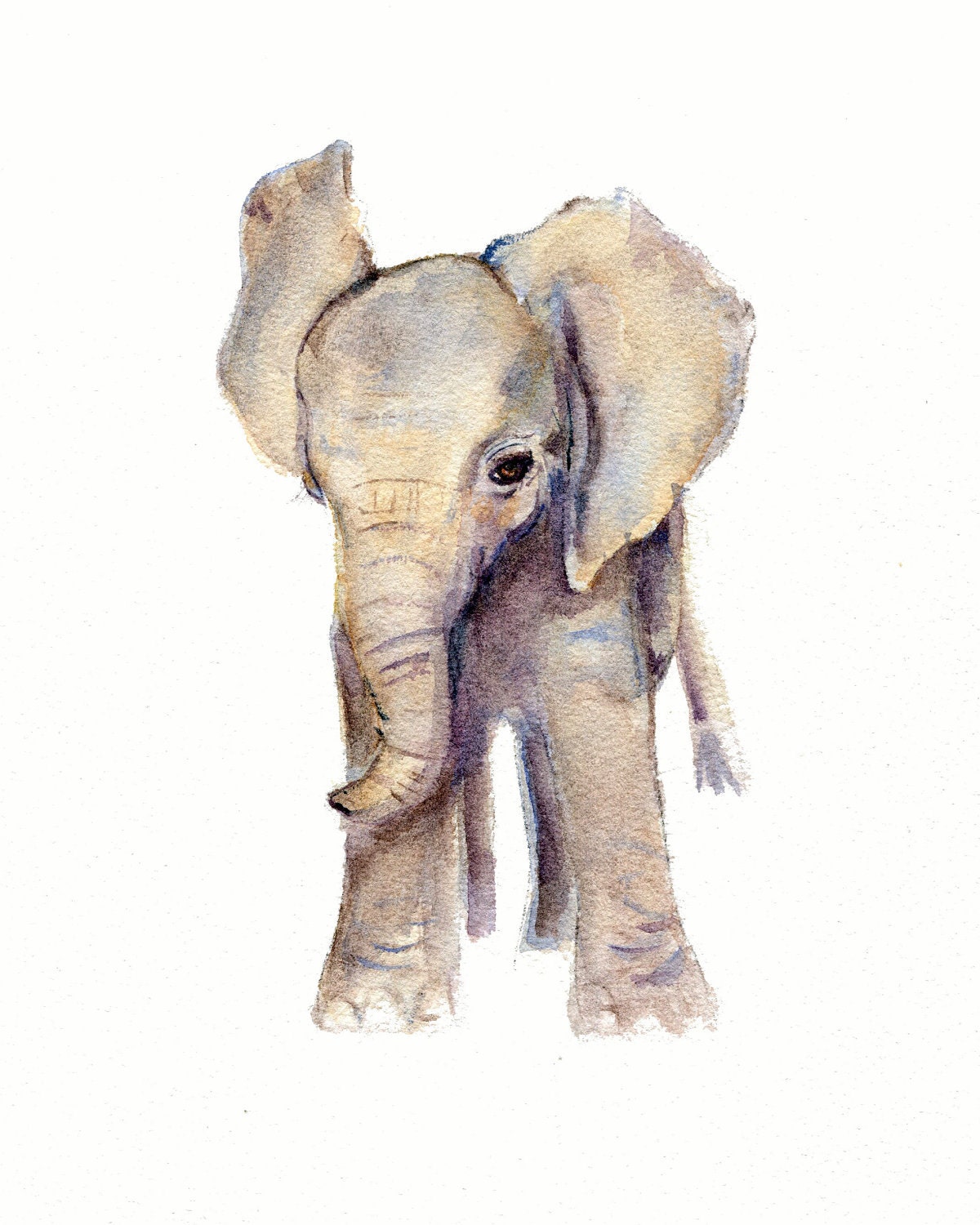 Baby Elephant Print from Original Watercolor  8 x 10