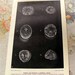 Precious Stones Diamond Antique vintage print bookplate black 1894