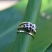 Cone Shell Ring in Gold
