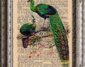 Peacocks on German 1888 Bible Upcycled Dictionary Page Book Art Print Peacock Bird
