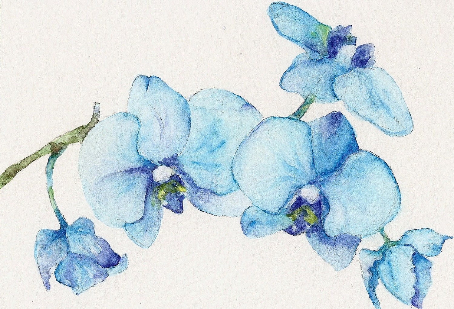 Blue Orchids One - Art Print of watercolor painting 8x10- open edition print- flower spring blue turquoise nature - Goosi