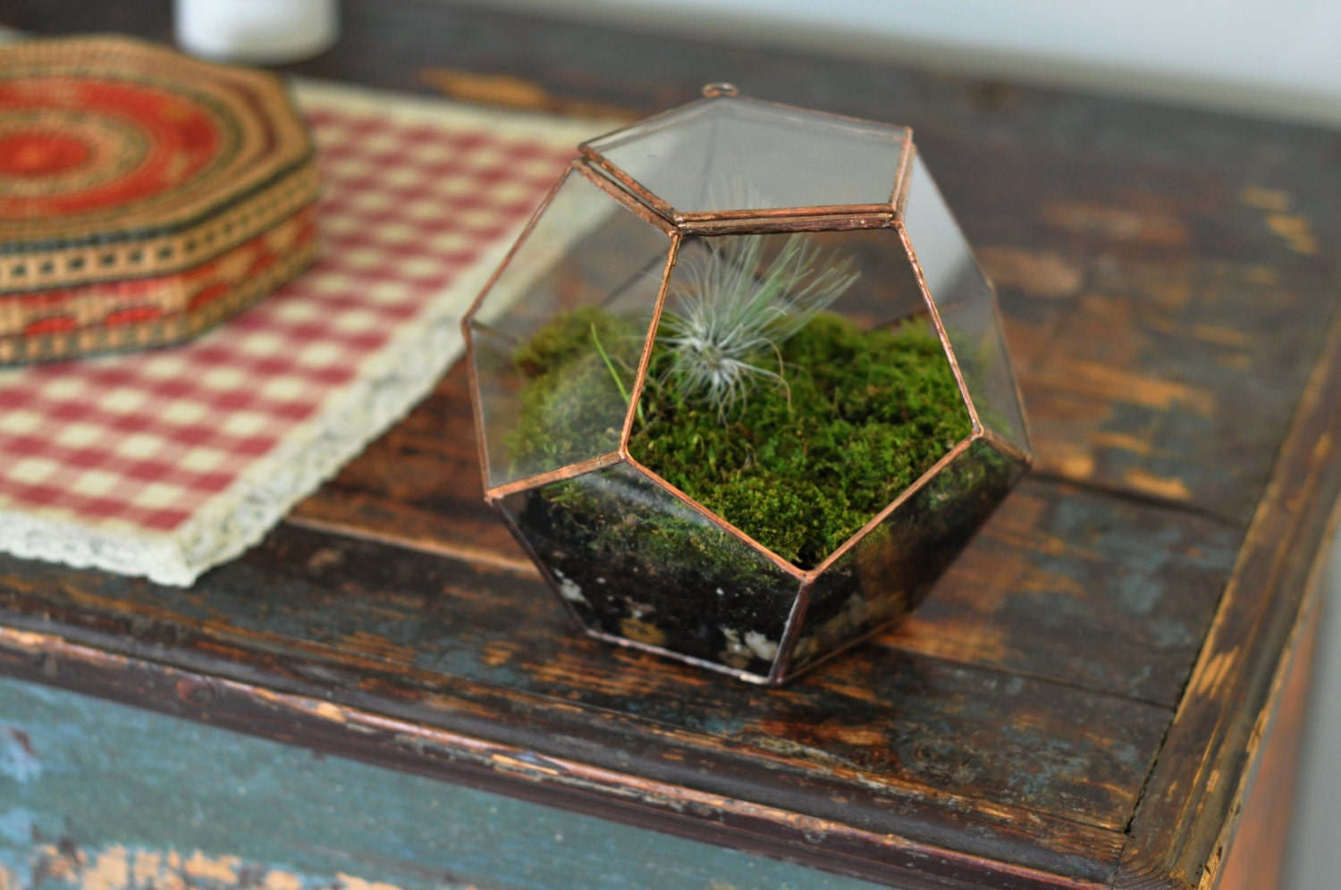 Universe Terrarium Kit, large dodecahedron glass terrarium with a hinged door -- stained glass -- copper or silver color -- eco friendly
