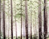 ACEO, Redwood Forest, 2.5x3.5, Collectible Original Watercolor Painting. Landscape, Scenic Earthspalette